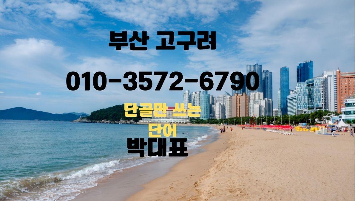 부산 고구려 손대표 010-3572-6790 해운대 바다 배경 디시룸 예약 이미지