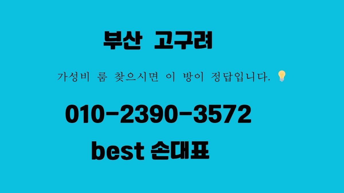 부산 고구려 손대표 010-2390-3572 best 디시룸 예약 가능 – 해운대룸싸롱 후기 이미지