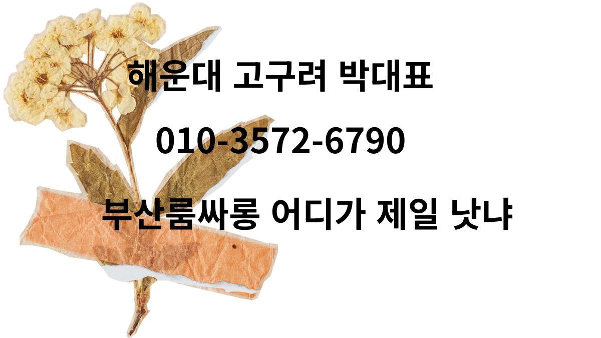 해운대 고구려 박대표 010-3572-6790 예약 대표 이미지 goguryeoroom.com