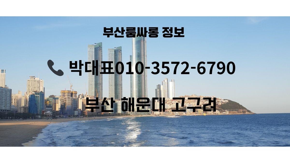 해운대고구려 예약 안내 썸네일, 부산 해운대 스카이라인 전경, 1인견적·주대·시스템 요약, 박동규 010-3572-6790